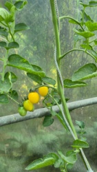 176e167f-5db4-4548-8952-8953e367cd82