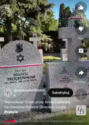 Polski Żyd w NSZ. "Wyzwolenie" Polski przez Armię Czerwoną.