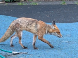 96aaa66f-309e-48e6-b56a-7be2771d3821