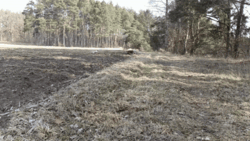 81e0eb81-62f2-4717-91a8-c944796f33a0