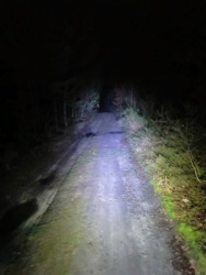 a69178a4-65ca-4415-ad9a-fafa99930392