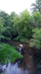 5a07a058-eafa-4781-84a7-bc3c361490e4