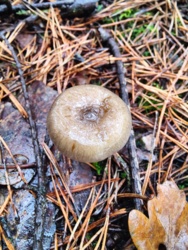 9944d615-9f26-488c-bede-a29f4bb17098