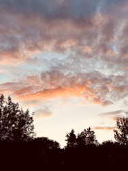 3a4646c8-2092-40b5-9f90-6106ccc9abd5