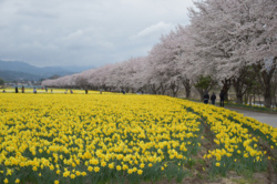 018583a9-0a3c-4443-b0af-af5304e7166a