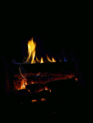 6a243fce-e6cf-48bb-ab87-e867a2fb8204