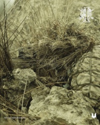 d7d857b1-92f4-49bb-9e0f-7b0d3f68a245