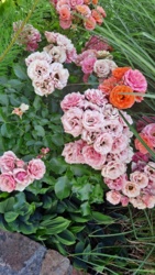 fbd4d4a6-f06a-4360-97d0-e4c5dfb310b8