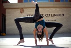 e6324bc9-c9a2-4bc6-a8d8-466cbae68138