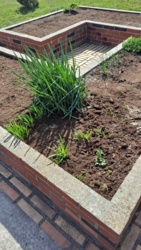 3fb228ed-c539-4059-ac6b-fb740598800f