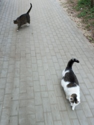 c3e19f81-34f2-424b-aa23-b6c06a832ec3