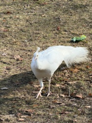 e8a35bf3-35de-4b36-a413-7e519b02578b