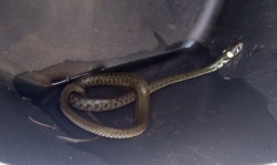 eca85c8e-53cb-4b4e-801d-8624dd52cea4