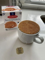 37860a4e-bb49-4550-a8d3-c12620d5ff65