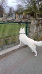 80931007-edc1-4fb9-a6f1-a7561e9779c3