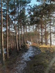 3bad494c-a317-4508-8128-049614429097