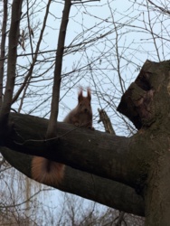 a983e746-cebe-48c2-b75c-4407224c916f