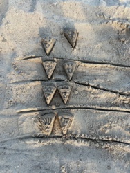 6a5f5c3c-9b55-4ceb-be94-83f78df2a12f