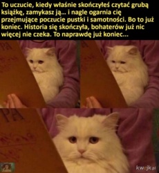 98045cb2-8c0f-4093-92f9-1c76b28eae95