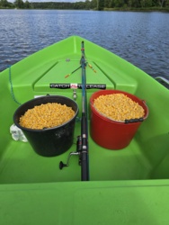 fffcdb5d-35cb-46fa-8813-d8e8d799d6cf