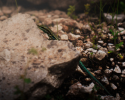 48fe6e7a-c0a9-4ff8-a50f-27bda83516fa