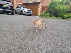 8e0dc2e4-6bf1-4afa-b762-1d8d526e2752