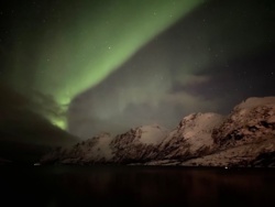 f39ef235-637b-47a2-bc46-297205900c7c