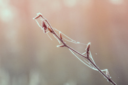 25732b84-9429-4607-a7d1-b4521de66e0c