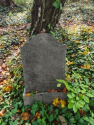 e4631cf2-1b07-40a7-9ea5-a63b96bac219