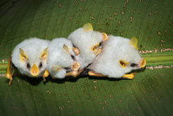 e86a4b06-b23b-4372-a6b1-766331db62c9