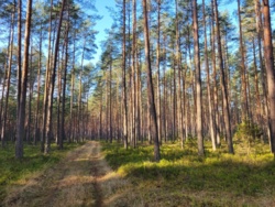 0533cecb-9af0-432b-bb43-226c4149e9da