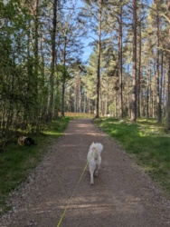 f4c20c8a-24ae-485d-b24f-2dcc74bac845