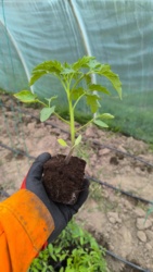 97071f45-4845-406a-a089-f39aac742637