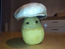 7f842f3b-0c65-4ade-8fd0-bdd322e54f6e