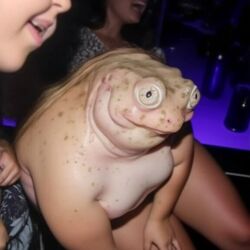 35bd3ca0-3cd1-4071-a46d-9fcb0044cf28