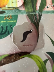 8e1c6d40-4e75-40e9-880f-50989bb08071