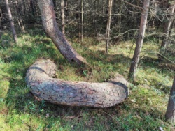 f1b33451-5767-44b5-b687-34e92ee9acb1