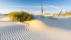 Polski cud natury to fenomen. Mówią o nim zagraniczne media