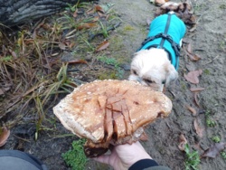 2265e71e-d352-4479-8bab-11b3c69d74d8