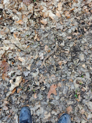 45294d33-1392-4a95-89ca-cf7f4ee1e95d