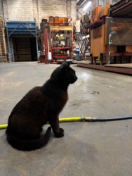 f19343c9-241d-4f74-8101-f25652ecaba3