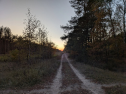 71551fc9-09e3-4d38-8a2e-80916951b0da