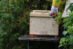 91d46500-3b70-40af-96ae-6cd9505f2aba