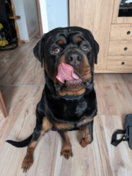 5dd48301-ab72-44b7-a3ca-0615ec92c634