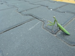 926080d8-3503-4e77-97fc-5325ce1b0025