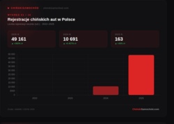 Boom chińskich marek w Polsce w 10 wykresach - Raport
