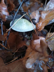 d604e81d-05d3-49a2-a0d5-0b51d40d1fe4