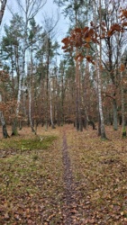 b35f5a8c-117a-4b89-82a5-f7ff8918d801