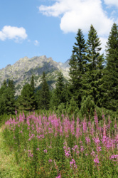 1d71a1be-987e-40a6-b215-e39edc5d571c