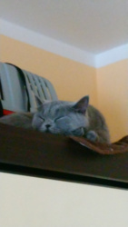 2be1ab81-bba0-473b-a986-744f78e062ef